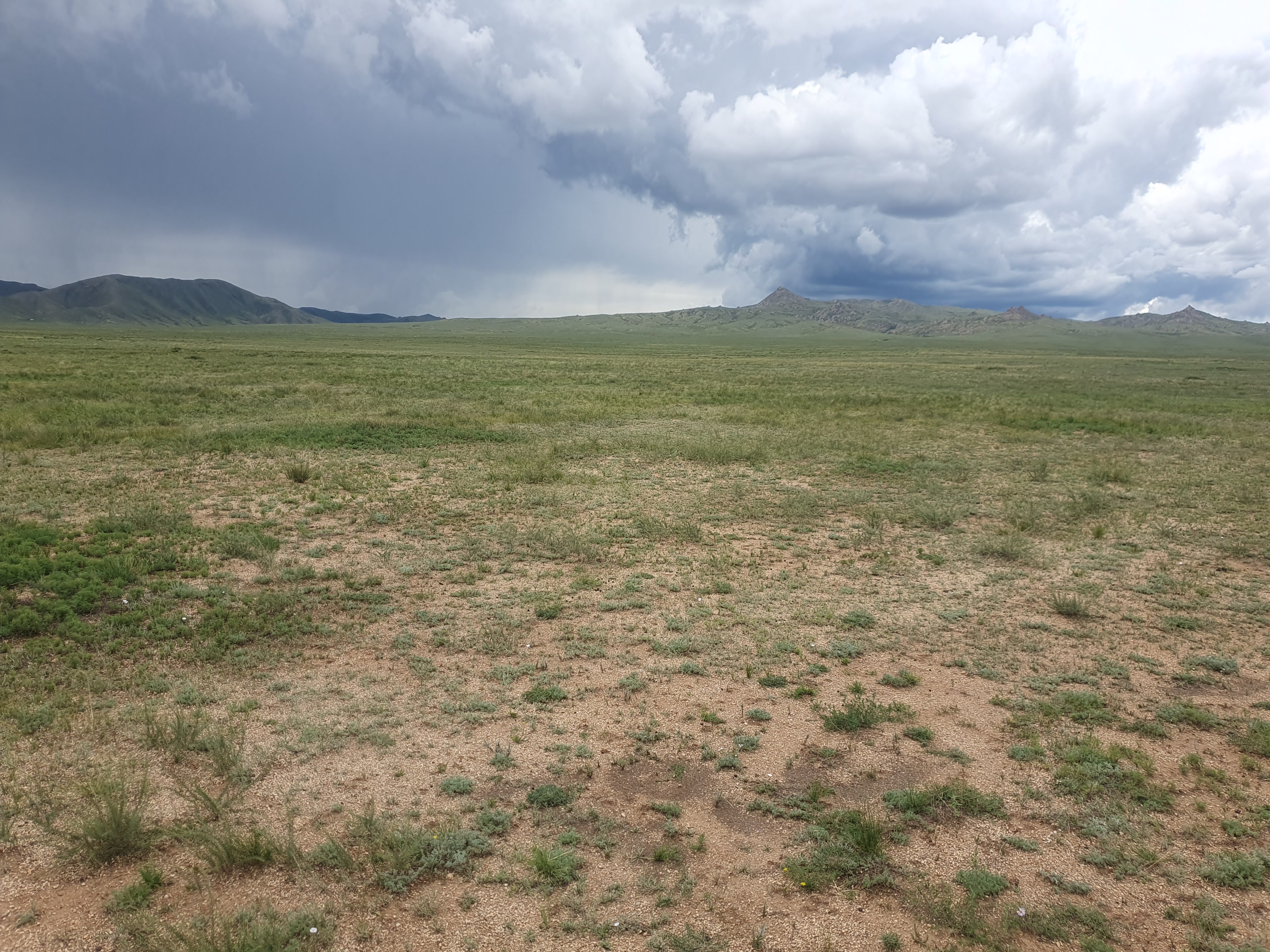 Clouds do really look nice in the plains